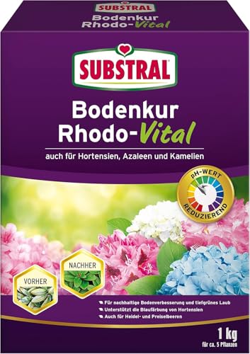 Substral Bodenkur Rhodo-Vital, 1 kg - für Rhododendren, Azaleen, Hortensien, Himbeeren, Preiselbeeren, Heidelbeeren, u.a.