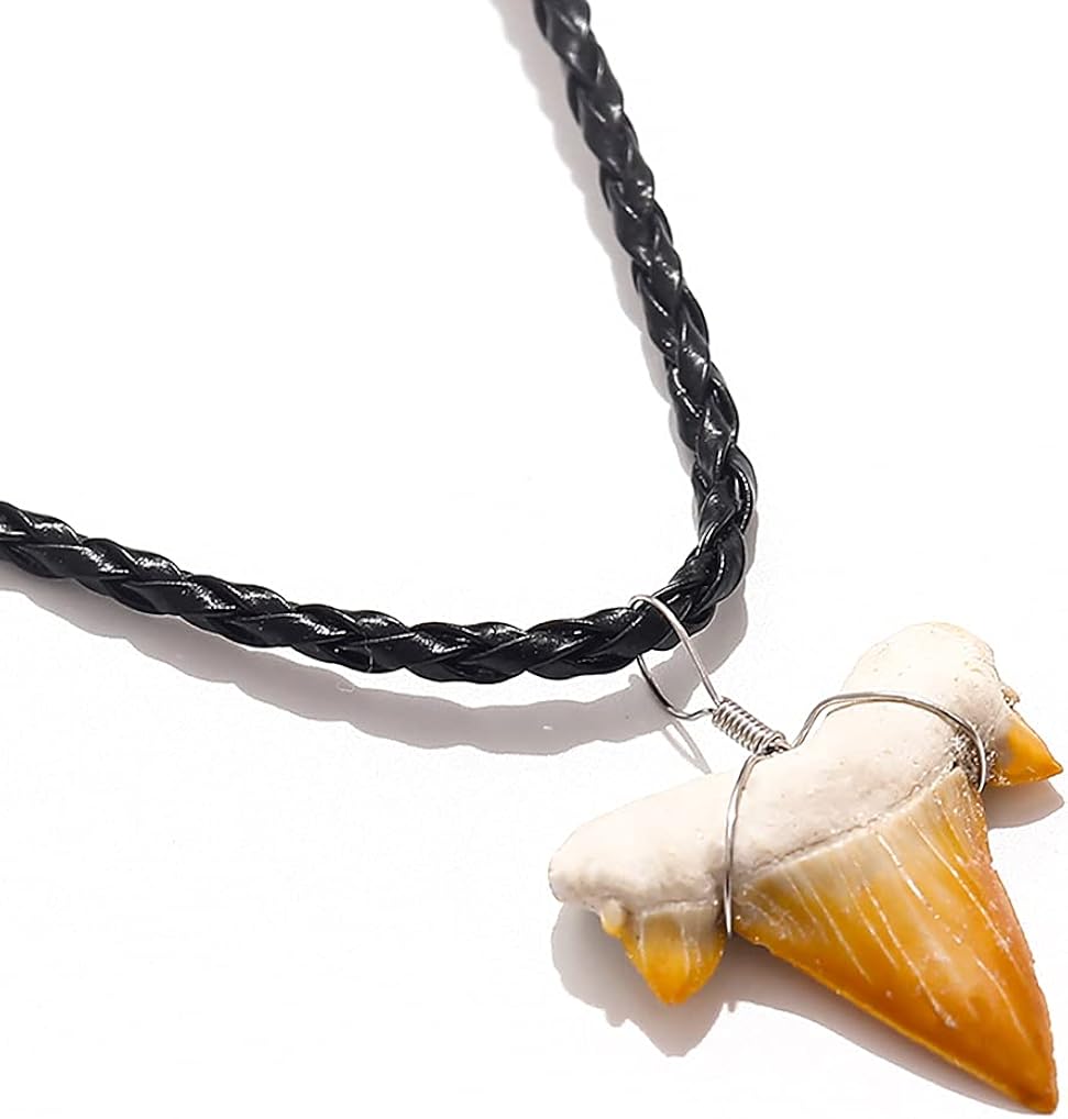 Fossilized Shark Tooth Necklace, Morocco Authentic Fossilized Prehistoric Shark Teeth on 20" Inch Braided Leather Cord, Hawaiian Beach Surfer Pendant, Great Gift for Men and Boys (#1- approx 2.5cm): Clothing, Shoes & Jewelry