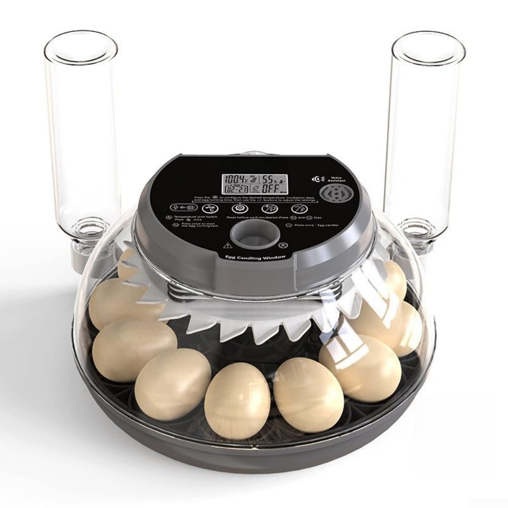 Incubatrice automatica a 12 uova per anatra di pollo (pin standard USA a 3