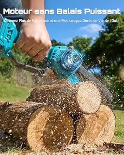SEESII 2-in-1 Elagueuse sur Perche, Mini Tronçonneuse Brushless 6 Pouces avec 2 x 4000 mAh Batteries, Coupe Branche Telescopique, Portée 4,87 M, Idéal Extérieur & Jardinage