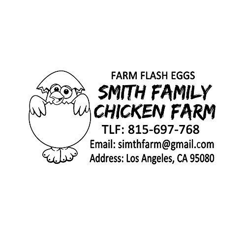 50 * 25Mm Personalized Fresh Egg Hen Chicken Family Farm Design Creative Ideas Gift Business Self Inking Office Stamper Custom Company Brand Return Address Rubber Stamp #TOP1