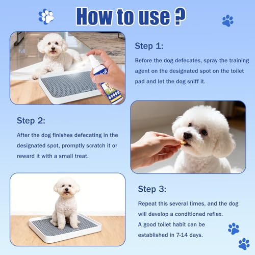 QHZ Potty Training Spray for Dogs – Indoor & Outdoor Use Puppy Toilet Training Aid to Encourage Proper Bathroom Behavior, Helps Stop Accidents & Build Good Habits, 100ML