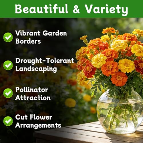 LUOJIBIE French Marigold Seeds for Planting Outdoors, Giant Marigold Flowers Seeds Bulk for 2026, Over 8,500+ Seeds Prolific Blooms, Ideal for Vibrant Pollinator Gardens — view 2