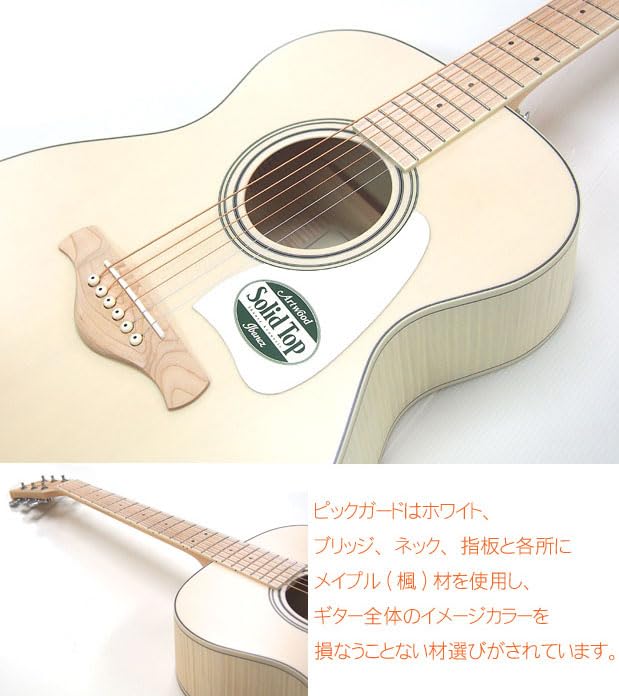 アイバニーズ　アコギ　AC419E OAW ebisound_ac419eoaw
