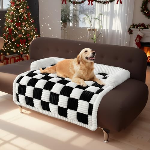 LiveGo t@W[ybgJE`Jo[ \t@p pJE`Jo[ t@W[\t@Jo[ N[XNGAiqpxbh ʂ݌p}bg ƋveN^[p ^ ^ƔLp(ubNA29.5C`×29.5C`)