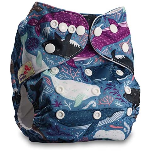 Littles & Bloomz Reusable Pocket Nappy Set Cover