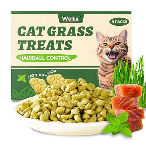 Wellix-450g16oz-Cat-Grass-Treats-Healthy-Kitten-Snacks-Natural-Salmon-Flavor-Dental-Cleaning-and-Hairball-Control-Catnip-Training-Biscuits-for-Indoor-Cats