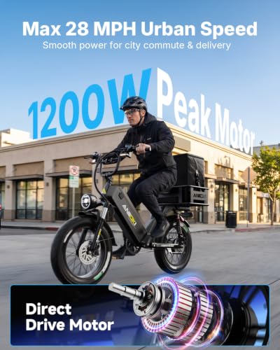 ANIIOKI 200+ Miles Long Range E-Bike