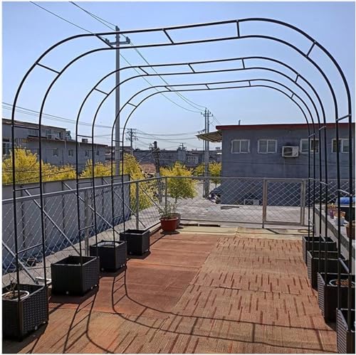 Arche de tonnelle de jardin extra haute treillis idéal pour grands rosiers - 2