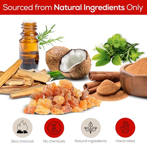 Satya Dragon Blood Incense Sticks 180 gm (15GM X 12 Pack) from Satya Sai Baba Nag Champa and Raajsee Incense Sticks Holder Bundle, Free from Chemicals,Natural Insenses