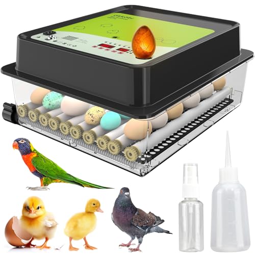 Okköbi OBI 36 Incubadora Automática – Incubadora de huevos para 36 huevos con Volteo Automático   Incubadora huevos gallina, codorniz y pato   Negro