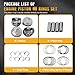 PANGOLIN Oversized Piston & Rings Set + 0.5mm 23041-2E210 fit for Kia Soul Forte Forte5 Forte Koup 2.0L 2014 2015 2016 2017 2018