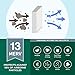 Filterbuy 20x30x1 Air Filter MERV 13 Optimal Defense (2-Pack), Pleated HVAC AC Furnace Air Filters Replacement (Actual Size: 19.63 x 29.63 x 0.75 Inches)