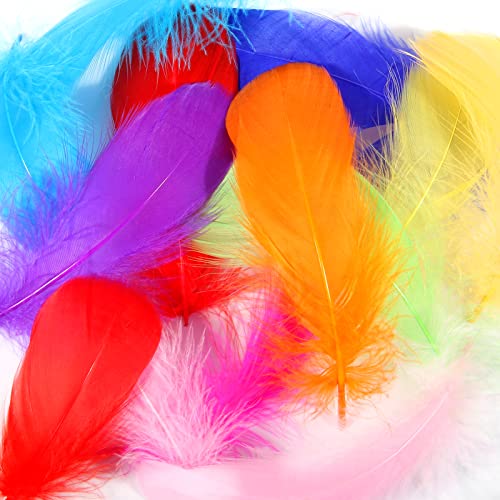 Tharaht 360Pcs Colorful Feathers 3-5 Inch Bulk For Diy Craft Wedding Home Party Decorations Tiny Goose Feather,Mix Colour #TOP5