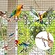 BOXOB Kletterseilnetz für Papageien, 55x53cm Buntes Sternendesign Vogelhängematte Leiter Seegrasmatte Kauspielzeug mit 4stk Haken Vogelkäfigzubehör für Tauben Kakadus Sittiche