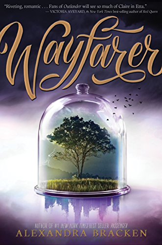 Télécharger Wayfarer: Book 2 (Passenger 1) (English Edition) PDF