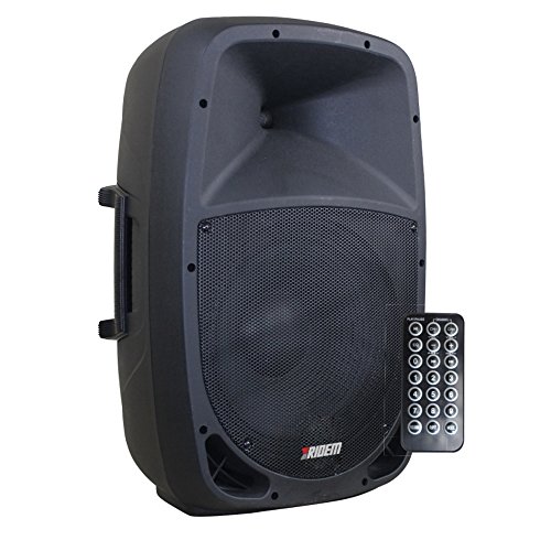 RDM 8A - Cassa/Diffusore Attiva 8' 120 Watt Con USB e Bluetooth