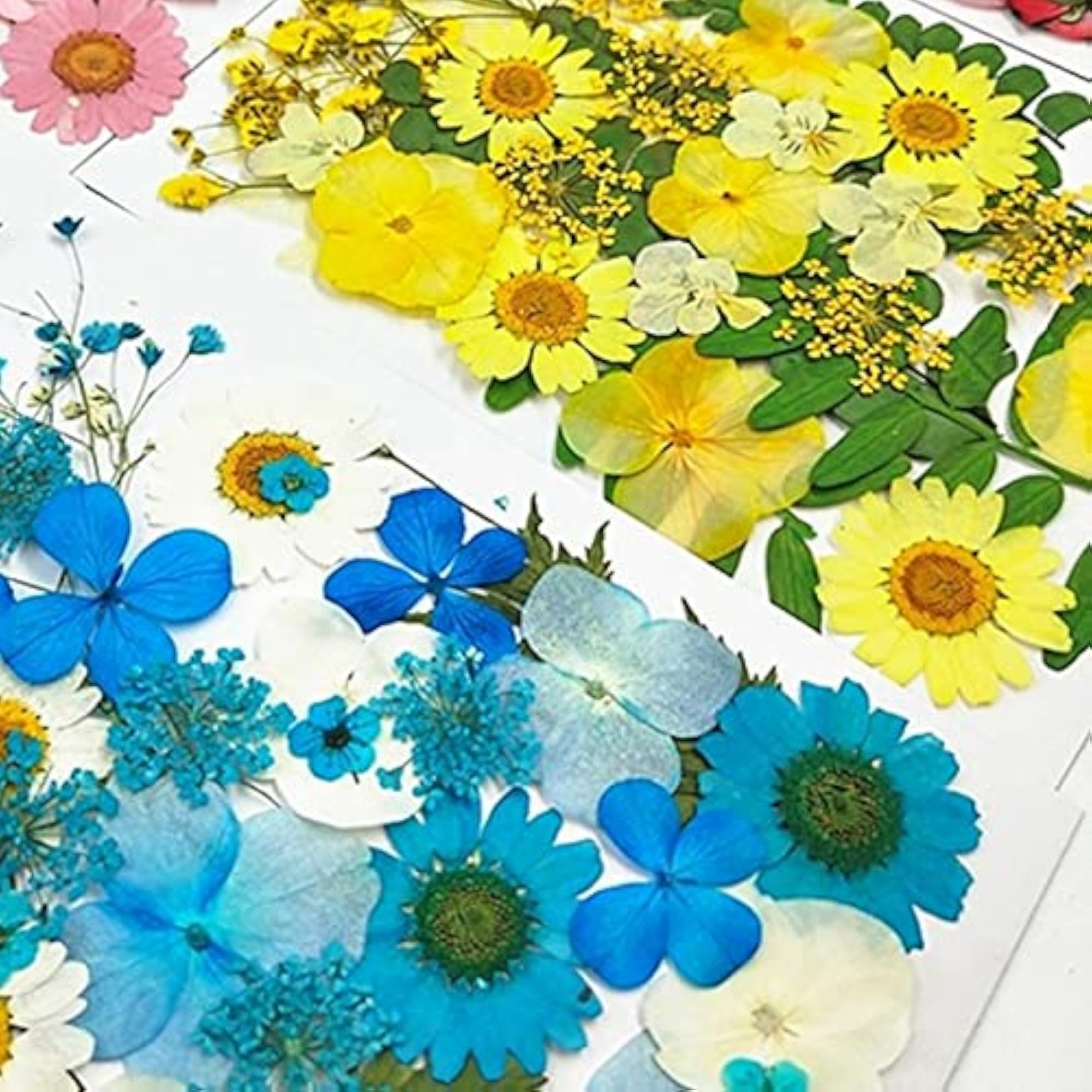 Dried Flower Handmade Pressed Flower Craft Kit