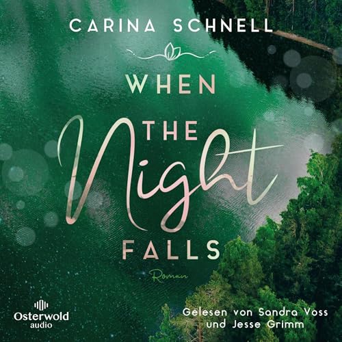When the Night Falls (German edition) Audiolibro Por Carina Schnell arte de portada