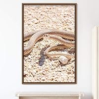 Framed Canvas Wall Art Snake Contemporary Dramatic Hallway Multicolor Photography Reptiles Snakes - 16x24 inches