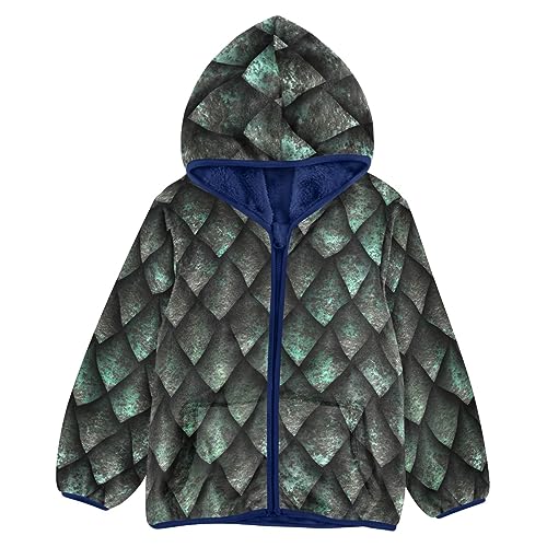 Image of Aflyko Boys Fleece Coat Blue Zip-Up Hoodie Girls Outerwear Kids Hooded Jacket
