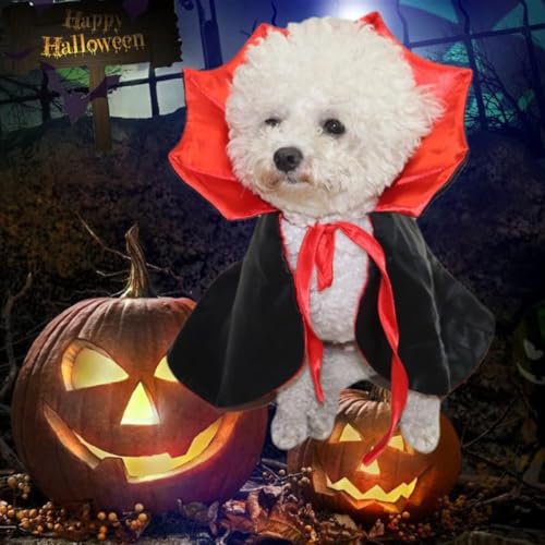Disfraz Halloween para perro grande, 2 piezas alas y capa vampiro miniatura 2