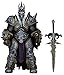 NECA Heroes of The Storm - Series 2 Arthas Action Figure (7