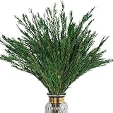 HIAGROW Dried Greenery Stem Decor, 2 Bundles 17' Real Green Melaleuca Bracteata Branch Preserved Plant for Home Vase Floral Design DIY Arrangement Fragment Spring Decorations (Natural Green)