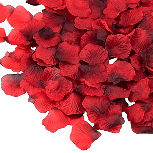 Besttoyeye Lot de 3000 pétales de Rose pour Mariage et Ambiance Romantique (Rose Rouge)