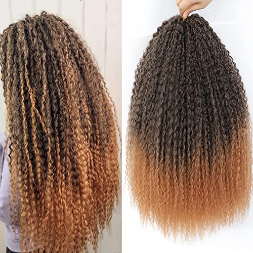 Synthetic Brazilian Braids Curly Crochet Hair 3 PACKS Afro Kinky Curly Soft Ombre Braiding Hair Extensions Deep Water Wave Synthetic Crochet Hair For Women (30 Inch (Pack of 3), T1b/30#)