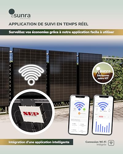 Micro-onduleur NEP BDM800W haute efficacité pour installation solaire