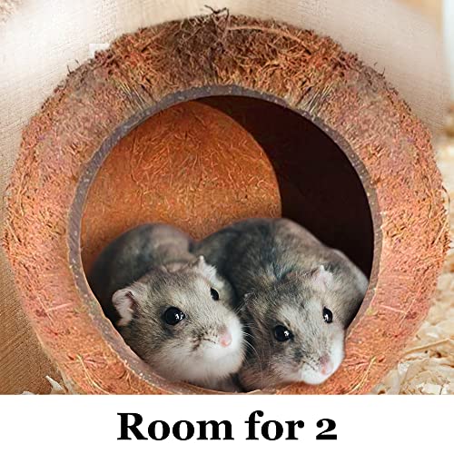 Image of SunGrow Coconut Shell House for Gecko, Snake & Ball Python, Raw Coco Husk, Pet Hiding House, Climber or Chew Toy, for Reptiles, Amphibians (Coco Bowl)