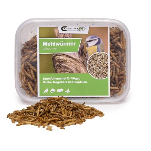 Carpline24 Getrocknete Mehlwürmer 250 ml - Proteinreiche Insekten als Futter für Reptilien, Nager, Igel & Fische, Vogelfutter, Winterfutter