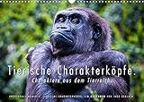 14 Seiten bestehend aus 1 Coverbild | 12 Monatsbilder | 1 Indexseite. Inklusive Papprücken hinten und vorderseitig einer Klarsichtfolie.