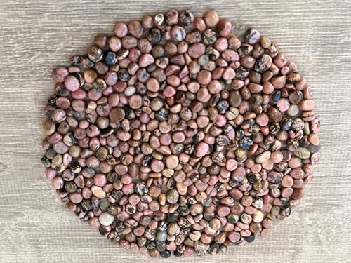 Image of GAF TREASURES 2 oz Lot Natural Semi Tumbled Rhodonite Gemstone Chips, Crushed Mini Rhodonite Crystals, Undrilled Crystal Chips (Rhodonite)