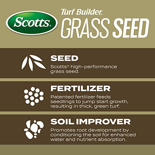 image for Scotts Turf Builder Grass Seed Southern Gold Mix for Tall Fescue Lawns