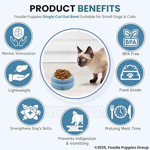 Image of Foodie Puppies Cat Food Bowl, Tilted Food or Water Bowl for Cats and Small Dogs - (Single CutOut Bowl, 350ml), Anti Vomiting, Healthy Cat Bowl for Persian Cat Prevent Tipping Over Plastic Feeding Bowl