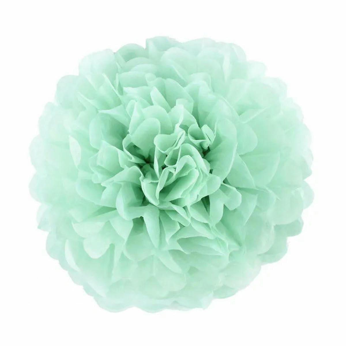 AYHTUD 5pcs 4 6 8 10 12 Inch Tissue Paper Pom Pom Poms Wedding Party Paper Pompom Flower for Wedding Decoration Pompoms Birthday Baby-cool mint-10 inch 25cm