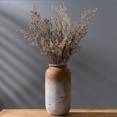 Ceramic Farmhouse Vase for Decor | 11.5 Inch Large Ceramic Rustic...