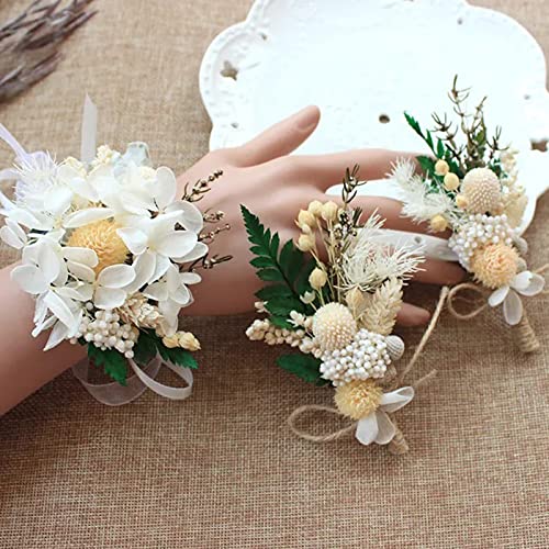 Caiyun Manor 20Stems Billy Ball Flower，Craspedia Globosa Benth，Australian Drumstick Chrysanthemum，Eternal Life Flower，For Home、Wedding、Party Themed Decorations (Beige White) #TOP4