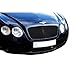 Zunsport Compatible With Bentley Continental GT Lower Grille (Grill) Set - Black finish (2003 to 2007)