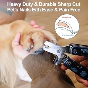 Dog-Nail-Clipper4-in-1-Multifunction-Pet-Nail-Clippers-Heavy-Duty-Metal-Dog-Nail-Trimmers-Perfect-for-Large-Medium-and-Small-Breed--Dog-Nail-Trimmers-Designed-for-Thick-Toenails - Cucciolini Doodles   Dog-Nail-Clipper4-in-1-Multifunction-Pet-Nail-Clippers-Heavy-Duty-Metal-Dog-Nail-Trimmers-Perfect-for-Large-Medium-and-Small-Breed--Dog-Nail-Trimmers-Designed-for-Thick-Toenails