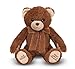 Lord's Prayer Bear: Puppets & Plush - Prayer Time Pals