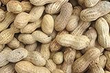 Backyard Seeds Peanuts in-Shell for Squirrels, Deer and Blue Jays 25 Pounds