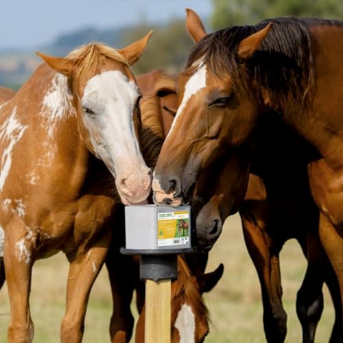 SOLSEL Leckstein Multi 10kg mit Kupfer | Mineralstoffquelle für Rinder Pferde Ziegen Wild | Spurenelemente für optimale Tiergesundheit