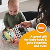Lamaze Finlees Look Book - Interactive Crinkle Book for Sensory and Developmental Play - Clip on for Stroller, Car Seat or Diaper Bag - High Contrast Touch and Feel Baby Books - Ages 6 Months and Up