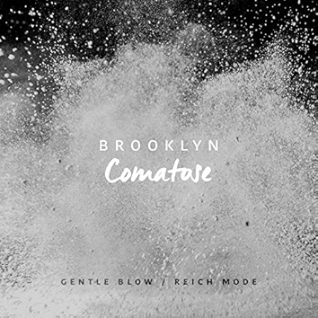 Gentle Blow & Reich Mode EP