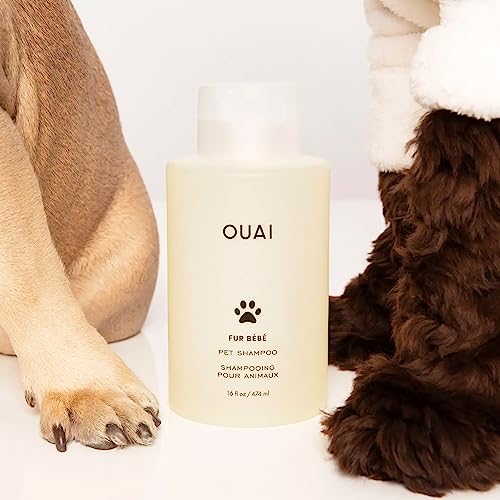 OUAI Fur Bébé Pet Shampoo, Mercer Street Scent - Dog Shampoo and Coat Wash for Hydrating, Cleansing and Adding Shine to Pet Hair - Pet Supplies by OUAI (16 Fl Oz)