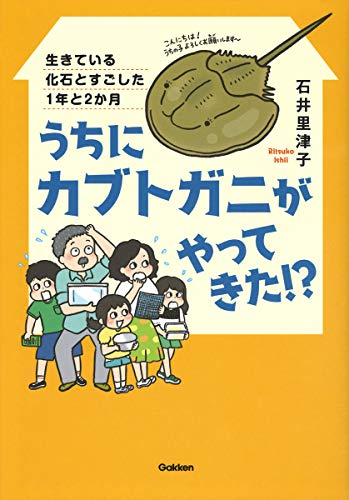 うちにカブトガニがやってきた!?-生きている化石とすごした1年と2か月 (動物感動ノンフィクション) うちにカブトガニがやってきた!?-生きている化石とすごした1年と2か月 (動物感動ノンフィクション)