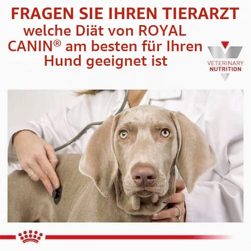 Veterinary Hypoallergenic Mousse | Feuchtnahrung für Hunde | 12 x 200 g